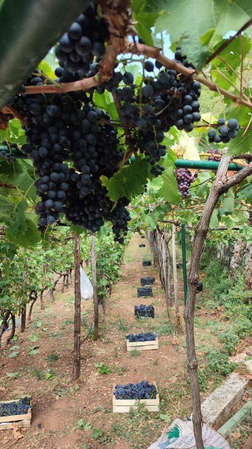 Appartamento Liprosh Virpazar Esterno foto